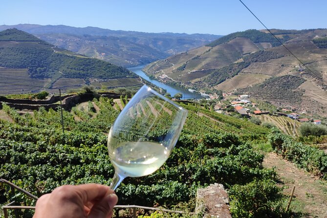 Douro Valley Premium Tours - Private Driver & Guide - Quinta tour and Port wine tasting: the winemaking story in 90 minutes