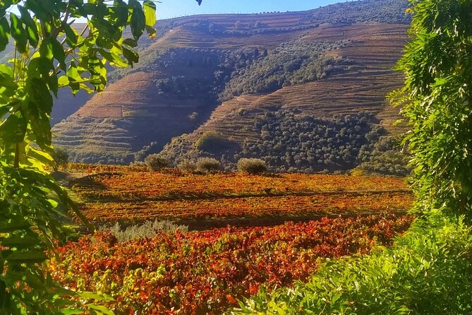 Douro Valley Prime Tour: Wine Tastings, Boat & Lunch from Porto - Peso da Régua’s bridge gives you your first real Douro moment