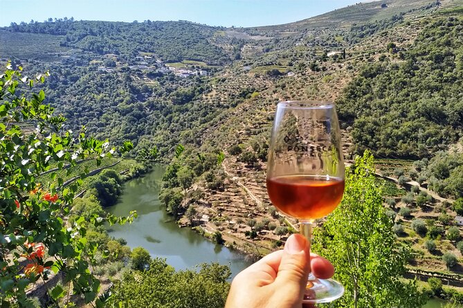 Douro Valley Prime Tour: Wine Tastings, Boat & Lunch from Porto - Quinta do Panascal, granite wine tanks, and Port tasting with river views