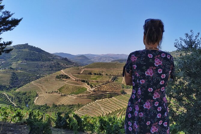 Douro Valley Prime Tour: Wine Tastings, Boat & Lunch from Porto - Price and value: why $145.12 can make sense