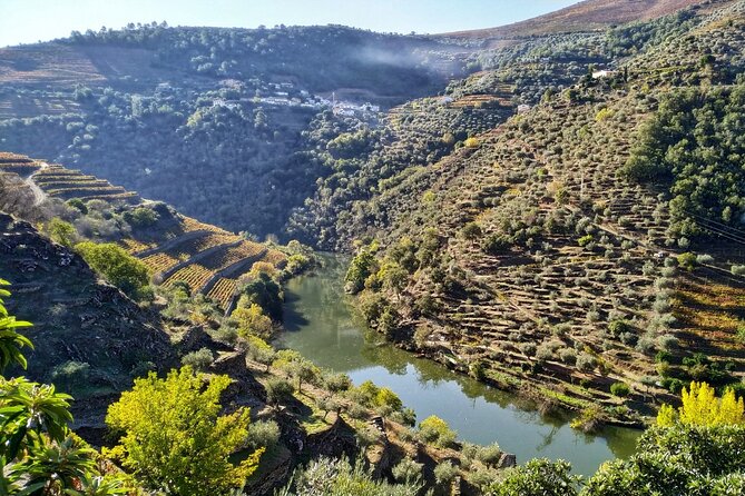 Douro Valley Prime Tour: Wine Tastings, Boat & Lunch from Porto - The route begins with Vinho Verde, then Amarante’s pretty river town