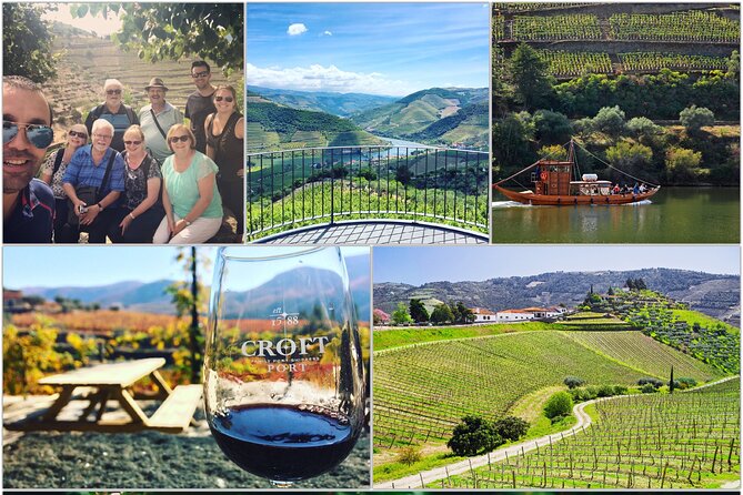 Douro Valley private day tour from Porto - Wine and olive oil tastings, plus lunch that keeps the day moving