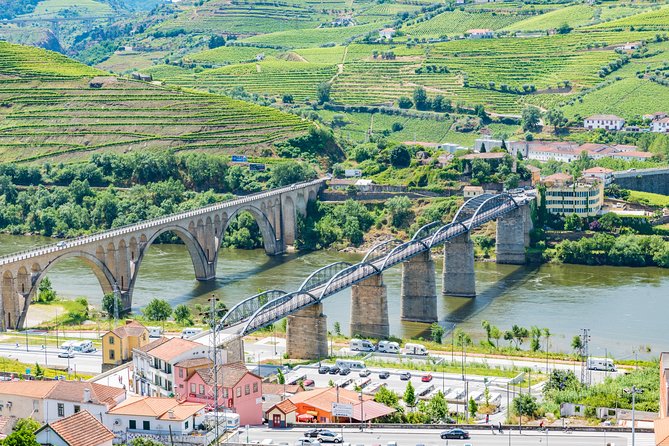 Douro Valley private day tour from Porto - Shared stops, private car: how to think about group size and comfort