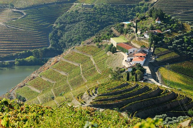Douro Valley private day tour from Porto - What to pack for a full Douro day