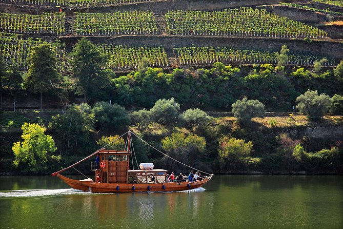 Douro Valley private day tour from Porto - Should you book this Douro Valley private day tour from Porto?