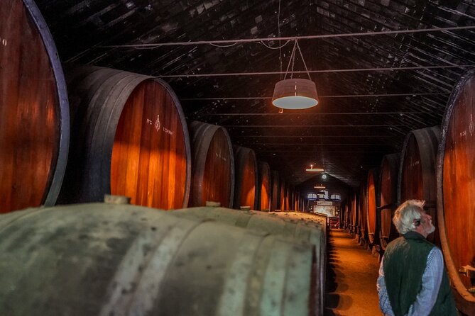 Douro Valley Private Day Trip from Lisbon: Vineyards & River View - Pinhão: Wine Tastings, Boat Trip, and Time for Lunch