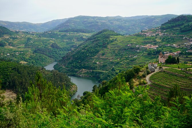 Douro Valley Private Day Trip from Lisbon: Vineyards & River View - The Morning Start: 7:00 AM and the 3h30 Each Way Reality