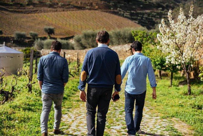 Douro Valley Private Day Trip including Boat Ride & Wine Tasting - Why This Private Douro Day Feels Like Your Trip