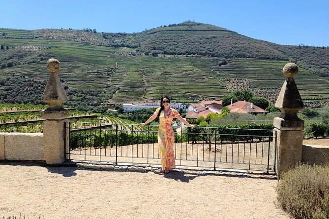 Douro Valley-Private Experience-Specialized Guide, Lunch, Boat,wineries,tastings - Pinhão Railway Station tiles: the short stop that adds meaning