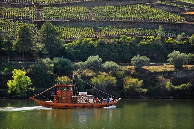 Douro Valley Private Full–Day Tour from Porto - Key highlights worth caring about