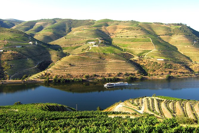 Douro Valley Private Full–Day Tour from Porto - Porto Pickup, 8:30 Start, and the Ride Into Wine Country