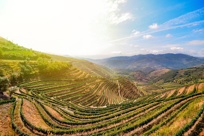 Douro Valley Private Full–Day Tour from Porto - Lunch Time at The River: Why the Included Meal Matters