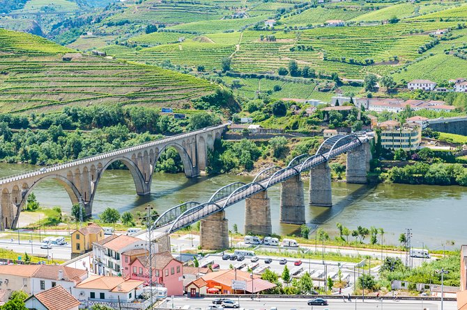 Douro Valley Private Full–Day Tour from Porto - Pinhão and the 1-Hour Douro River Boat Trip