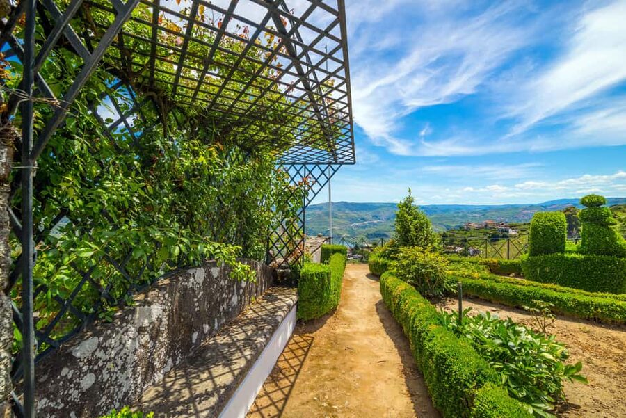 Douro Valley: Private Lunch with Wine & Olive Oil Tasting - Unhurried 3-hour timing, with the option to stay longer