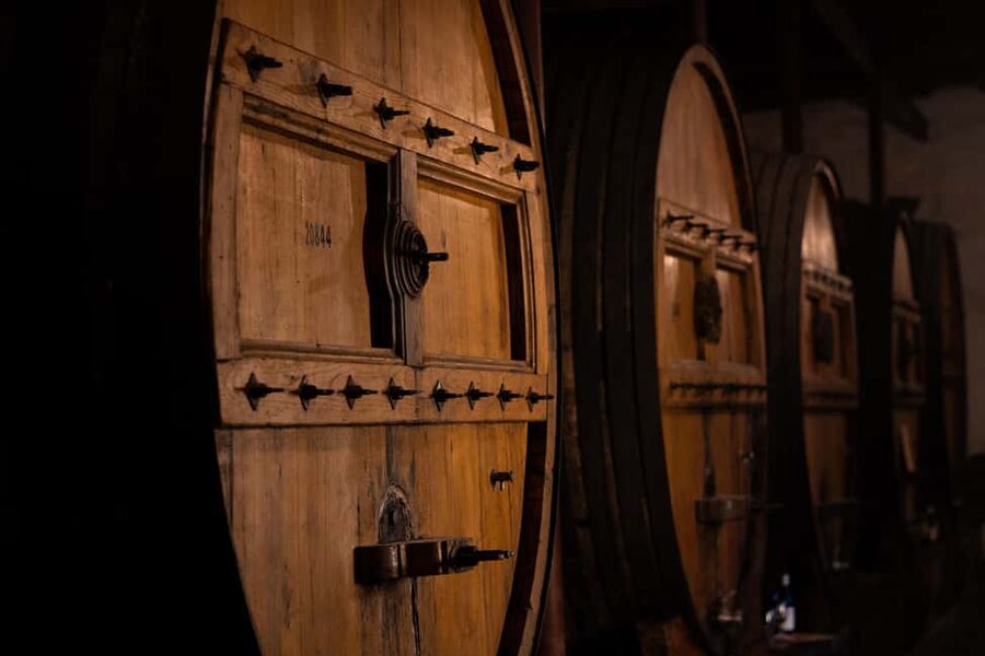 Douro Valley: Private Lunch with Wine & Olive Oil Tasting - Price and value: why $111 can feel fair here