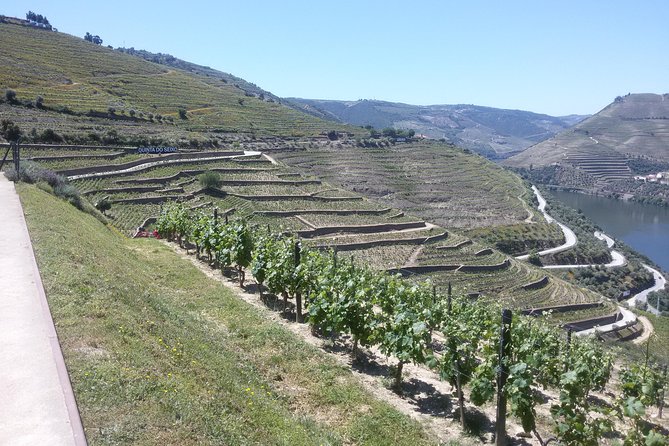 Douro Valley Private Premium Tour with Wine Tasting (1 to 4 people) - What’s Included, What’s Not, and Where Value Comes From
