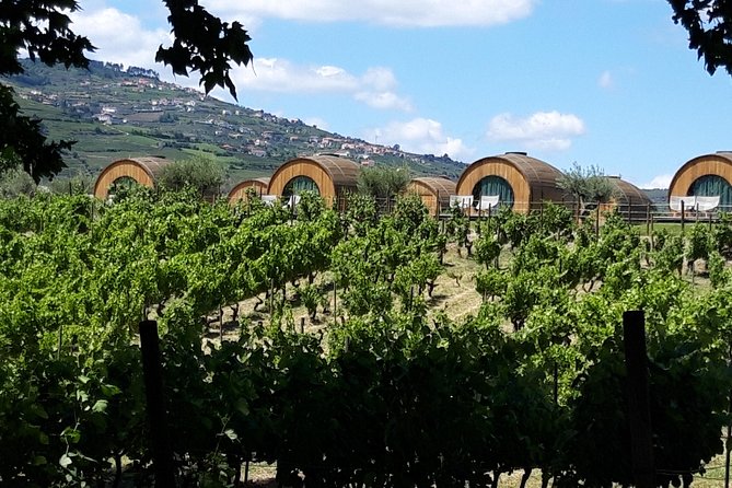 Douro Valley Private Premium Tour with Wine Tasting (1 to 4 people) - Guides and the Personal Touch: Ricardo and Antonio Matter