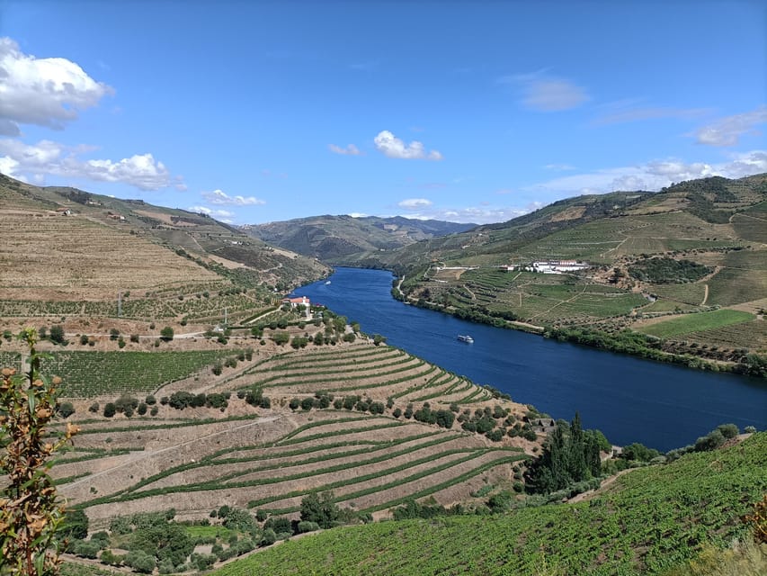 Douro Valley: Private Sommelier Tour with 3 Wineries & Lunch - Porto or Peso da Régua, then straight into the Douro rhythm