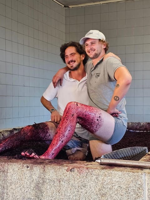Douro Valley: Private Sommelier Tour with 3 Wineries & Lunch - Modern wine cellar tour, with grape crushing and real process