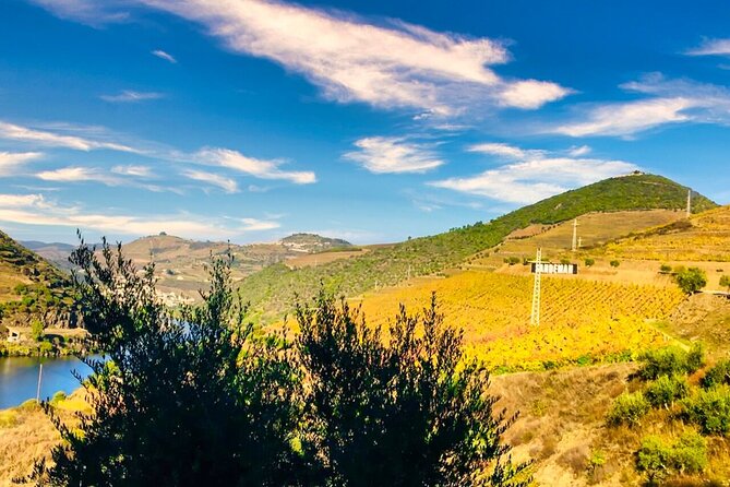 Douro Valley Private Tour: 2 Farms, Lunch & Boat Trip - Key highlights that make this Douro day feel special