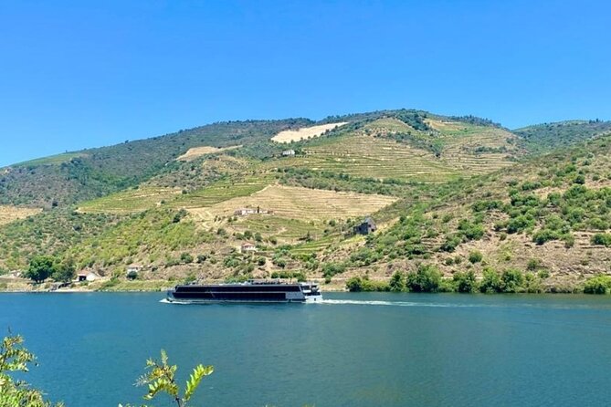 Douro Valley Private Tour: 2 Farms, Lunch & Boat Trip - Getting Out of Porto: A scenic ride that teaches you the region
