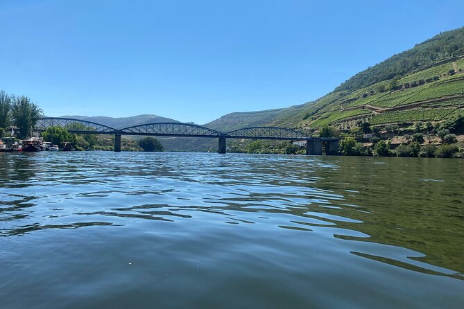 Douro Valley Private Tour: 2 Farms, Lunch & Boat Trip - Vale do Douro guided farm visit: wine plus olive oil tasting