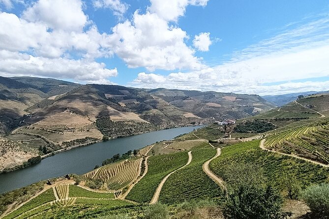 Douro Valley Private Tour - Price and value: what you’re paying for