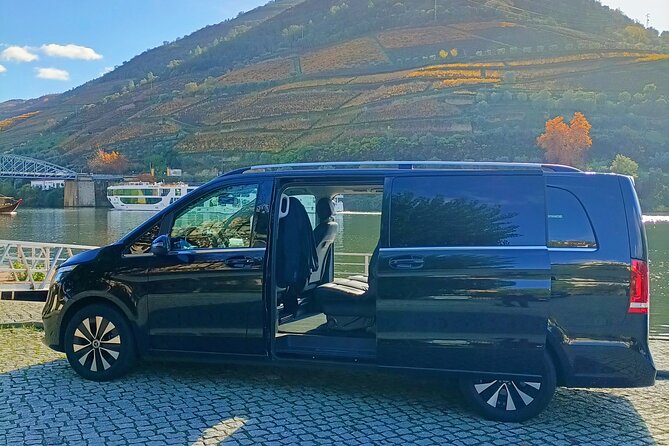 Douro Valley Private Tour - Who this Douro Valley private tour suits best