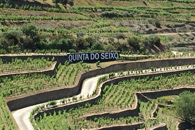 Douro Valley Private Tour from Oporto - Private Porto Pickup to the Douro Valley, How the Day Really Flows