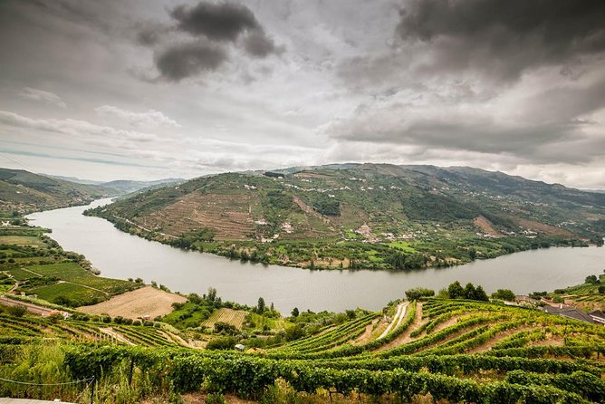 Douro Valley Private Tour from Oporto - Casal de Loivos Viewpoint, The Quick Photo Break That Matters
