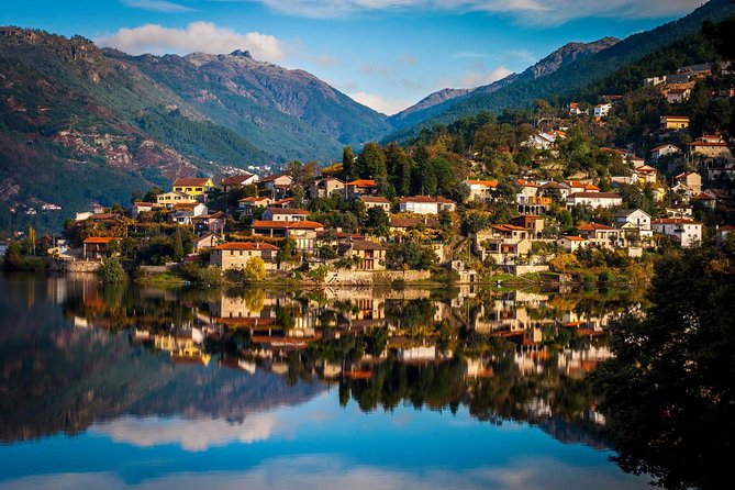 Douro Valley Private Tour from Oporto - Price and Value: When $307.05 Makes Sense
