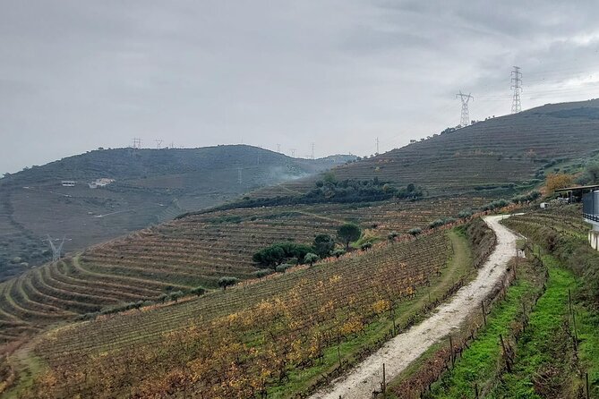 Douro Valley private tour full day - Stop 4: Companhia Turística do Douro, the 1-hour boat ride