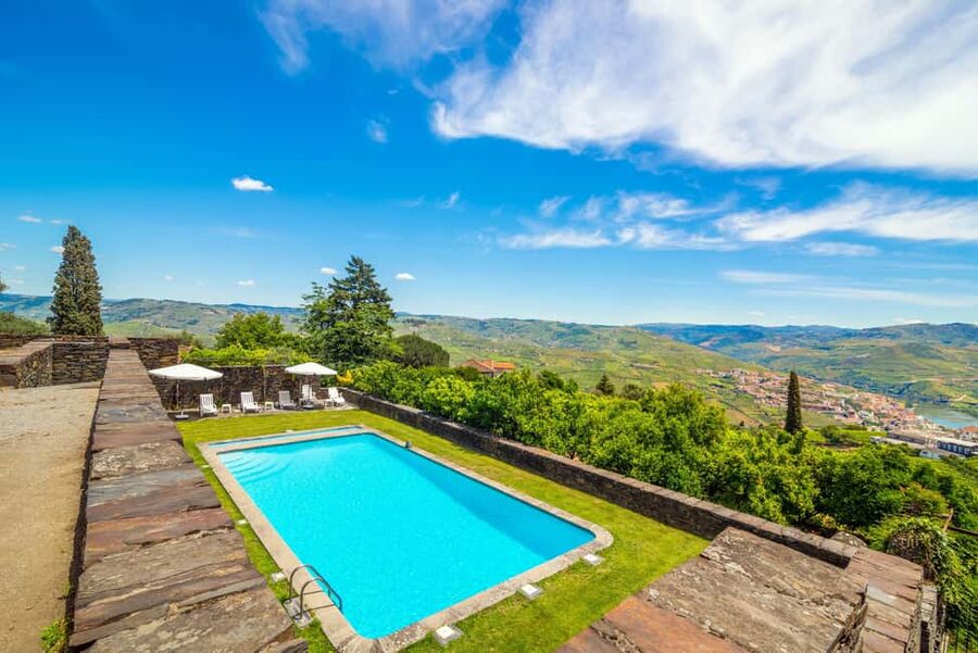 Douro Valley: Private Tour & Guided Wine & Olive Oil Tasting - The tasting itself: 3 still wines, 2 Port wines, and estate extra virgin olive oil