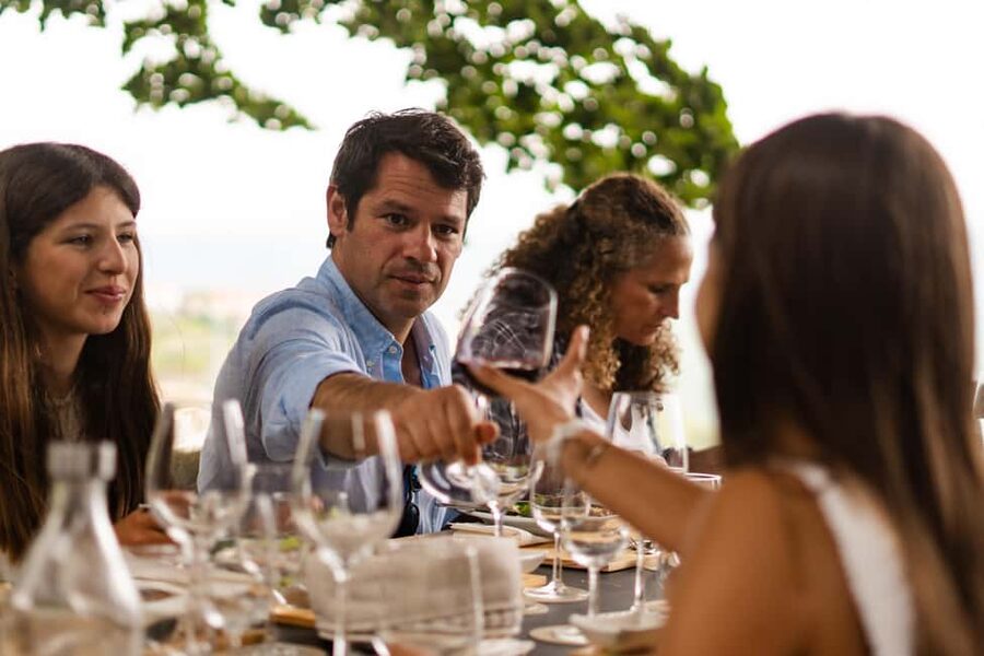 Douro Valley: Private Tour & Guided Wine & Olive Oil Tasting - Unhurried time on the estate, plus optional lingering