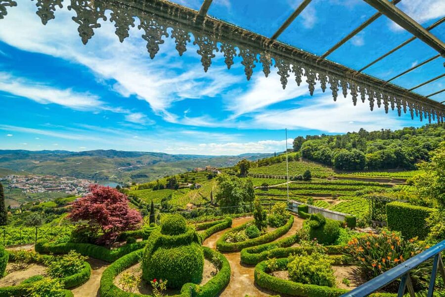 Douro Valley: Private Tour & Guided Wine & Olive Oil Tasting - Price and value: what $53 buys you in practice