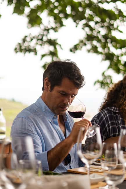 Douro Valley: Private Tour & Guided Wine & Olive Oil Tasting - Who this tour suits best