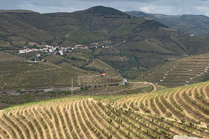 Douro Valley private tour includes wine tasting and boat trip - 9:00 am start, private transport, and the pacing that keeps it enjoyable