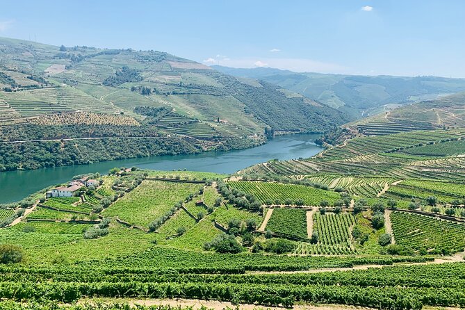 Douro Valley private tour includes wine tasting and boat trip - Stop 3: Peso da Régua, farm wine tasting with your own lunch time
