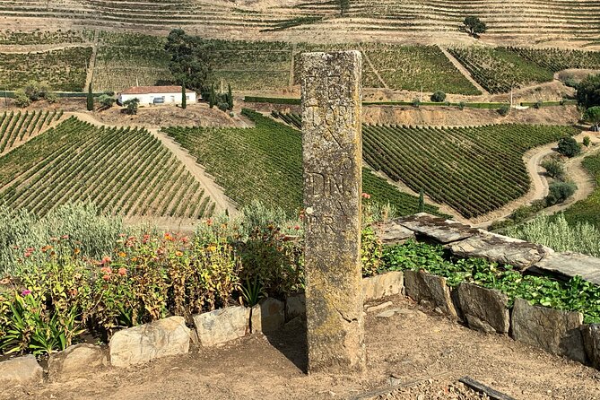 Douro Valley private tour includes wine tasting and boat trip - The price in real terms: what $488.70 covers for up to 3 people