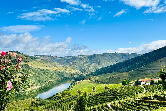 Douro Valley private tour includes wine tasting and boat trip - What to bring, and how to make the day go smoothly