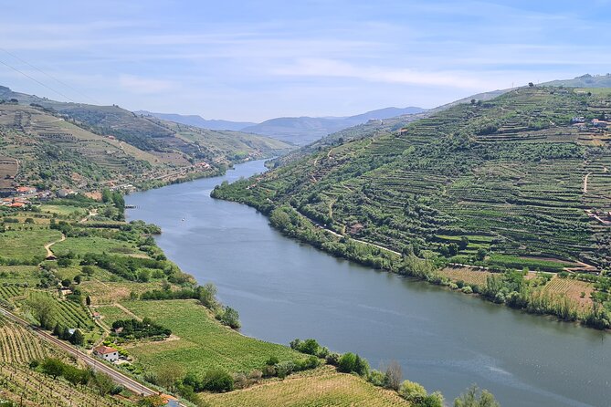 Douro Valley Private Tour (winery + boat + viewpoint) - A half-day that hits the Douro’s must-sees
