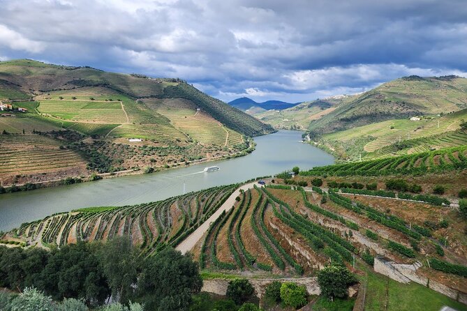 Douro Valley Private Tour (winery + boat + viewpoint) - Family winery wine tasting with Luis: more than a sip-and-go