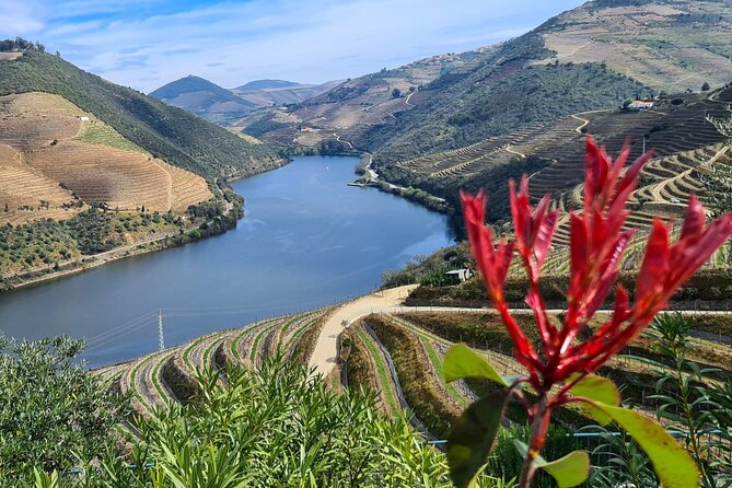 Douro Valley Private Tour (winery + boat + viewpoint) - Food timing: managing the one missing piece, lunch