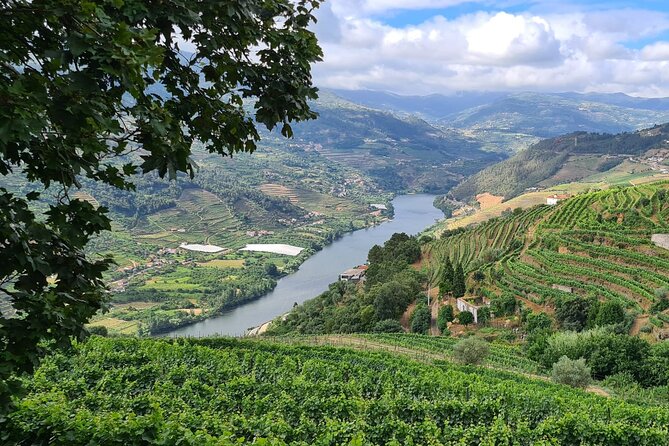 Douro Valley Private Tour (winery + boat + viewpoint) - Price and value: what $198.25 per person really buys
