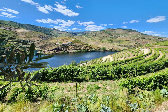 Douro Valley Private Tour (winery + boat + viewpoint) - Where the tour starts in Peso da Régua (and why it matters)