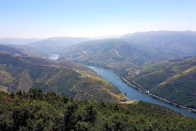 Douro Valley: private tour with lunch and wine estate all inclusive - Lunch in the Douro Valley: Portuguese comfort plus drinks
