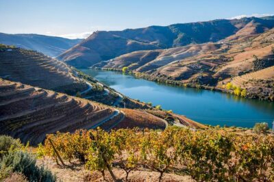 private tour with lunch and wine estate all inclusive