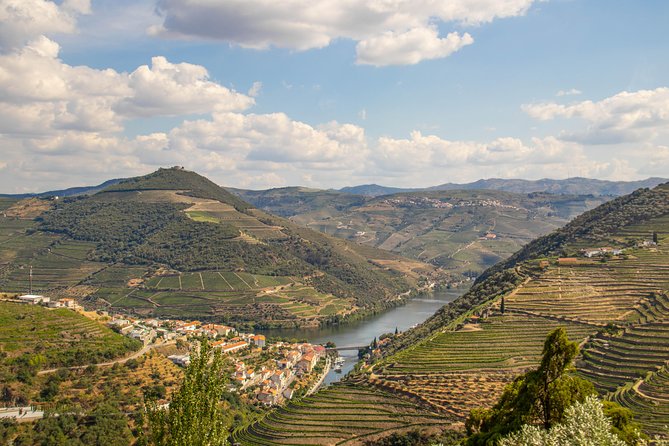 Douro Valley: private tour with lunch and wine estate all inclusive - Pinhão vineyard estate walking tour and wine tasting