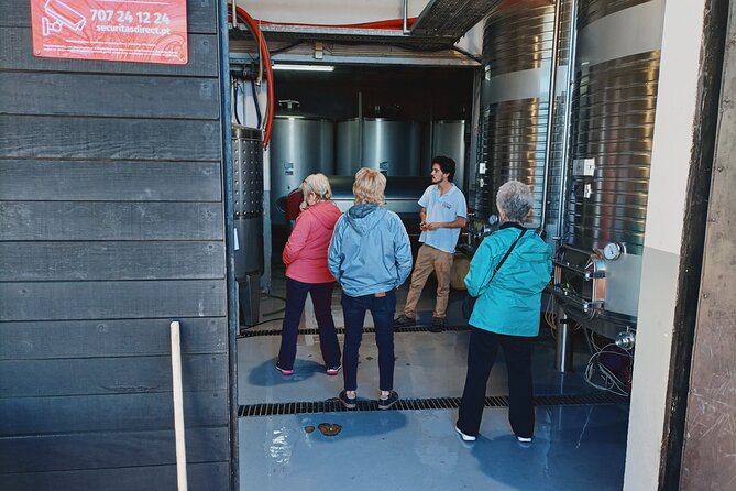 Douro Valley Private Tour with Sommelier - From Porto, you start with comfort and clear timing