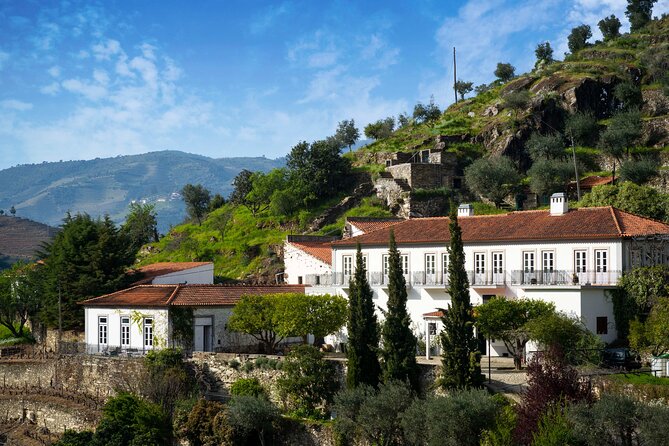 Douro Valley private tour with wine tasting and boat tour - Pinhão wine tasting plus a full 1-hour boat ride